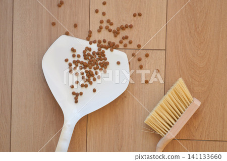 Cleaning up pet food on the floor with a dustpan and brush Cleaning up pet food on the floor with a dustpan and brush 141133660