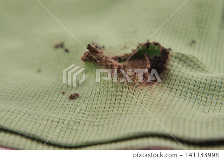 Hole in green fabric found in a local workshop Hole in green fabric found in a local workshop 141133998