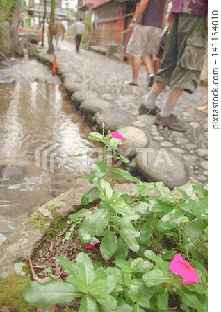 Beautiful flowers blooming along the waterside path in Yanaka, where the atmosphere of a castle town remains. Beautiful flowers blooming along the waterside path in Yanaka, where the atmosphere of a castle town remains. 141134010