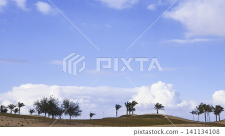 Field with trees and a blue sky Field with trees and a blue sky 141134108