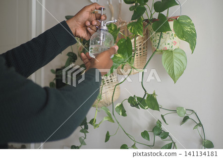 Person waters plants in a home setting with a spray bottle 141134181