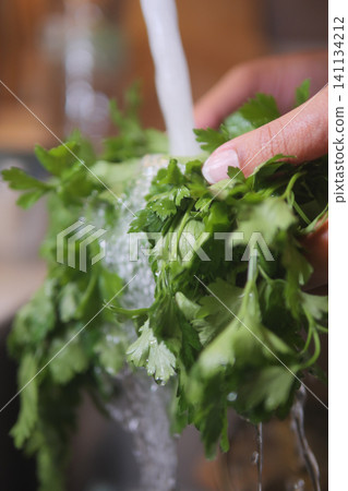 Washing fresh herbs under running water in the kitchen Washing fresh herbs under running water in the kitchen 141134212