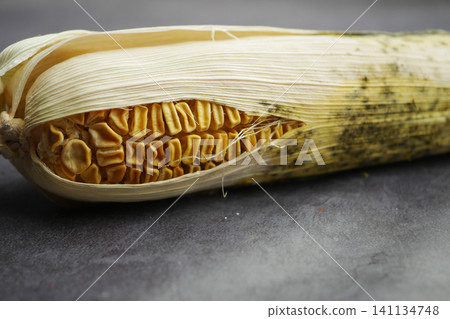Dried corn cob revealing its inner kernels and husk Dried corn cob revealing its inner kernels and husk 141134748