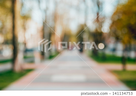 Green city park. Alley bokeh background 141134753
