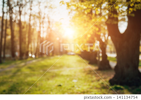 Green city park. Alley bokeh background Green city park. Alley bokeh background 141134754