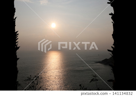 Tropical Palm Leaf Silhouette Over Ocean Sunset Tropical Palm Leaf Silhouette Over Ocean Sunset 141134832