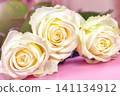 beautiful white roses on a pink background. place for text. top view background 141134912