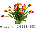Red tulips bouquet in white pot isolated over white background. Mothers Day, Birthday, Valentines Day concept. 141134963