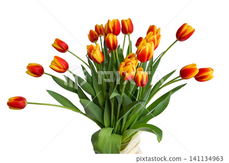 Red tulips bouquet in white pot isolated over white background. Mothers Day, Birthday, Valentines Day concept. Red tulips bouquet in white pot isolated over white background. Mothers Day, Birthday, Valentines Day concept. 141134963