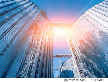 Modern silos for storing grain harvest. Agriculture. Modern silos for storing grain harvest. Agriculture. 141135090