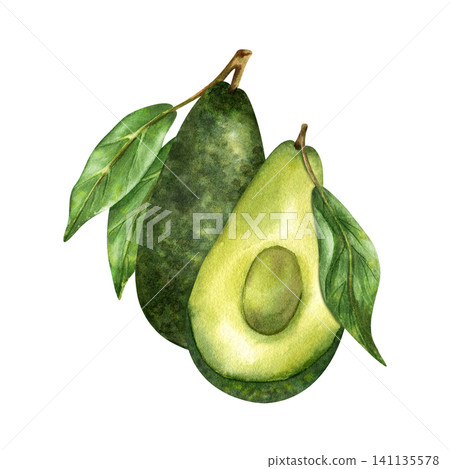 Watercolor two avocado composition, whole and half with pulp, green leaves on branch. Fresh organic fruit, superfood. Isolated on white hand drawn illustration. For healthy product packaging design Watercolor two avocado composition, whole and half with pulp, green leaves on branch. Fresh organic fruit, superfood. Isolated on white hand drawn illustration. For healthy product packaging design 141135578