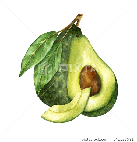 Watercolor avocado fruits. Ripe green textured fruits with leaves, half with seed, and in peel, piece. Hand painted illustration of exotic healthy food. Isolated clip art for packaging design, cards Watercolor avocado fruits. Ripe green textured fruits with leaves, half with seed, and in peel, piece. Hand painted illustration of exotic healthy food. Isolated clip art for packaging design, cards 141135581