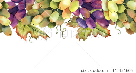 Watercolor green, black grapes vine seamless border garland with leaves. Isolated Illustration of purple grape bunch. Repeat horizontal ornate of botanical autumn berries. For design and packaging Watercolor green, black grapes vine seamless border garland with leaves. Isolated Illustration of purple grape bunch. Repeat horizontal ornate of botanical autumn berries. For design and packaging 141135606