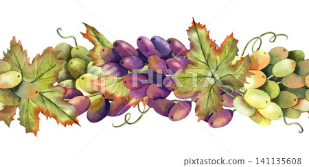 Watercolor green, black grapes vine seamless border. Isolated Illustration of purple grape bunch, leaves. Repeat horizontal ornate of botanical autumn berries. For label, logo, menu design, packaging Watercolor green, black grapes vine seamless border. Isolated Illustration of purple grape bunch, leaves. Repeat horizontal ornate of botanical autumn berries. For label, logo, menu design, packaging 141135608