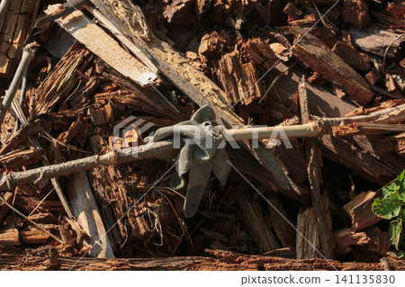 Top view of decaying rotten tree log and wood chips in sunny forest with green grass sprouts. 141135830