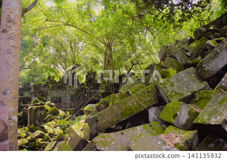 The ruins of Beng Mealea Temple, buried in the jungle | Cambodia The ruins of Beng Mealea Temple, buried in the jungle | Cambodia 141135932