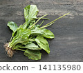 herbal, herb, leaf 141135980