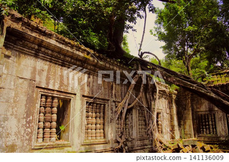 The ruins of Beng Mealea Temple in Cambodia The ruins of Beng Mealea Temple in Cambodia 141136009
