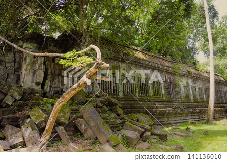 柬埔寨古代高棉建築:崩密列寺 | 柬埔寨 柬埔寨古代高棉建築:崩密列寺 | 柬埔寨 141136010
