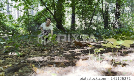 Small squirrel alert in summer forest at foreground. Young girl gently reaches out trying to invite animal closer at blurred background. The scene capturing quiet moment of connection with wildlife Small squirrel alert in summer forest at foreground. Young girl gently reaches out trying to invite animal closer at blurred background. The scene capturing quiet moment of connection with wildlife 141136271