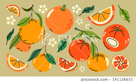 Cartoon set of citrus fruit illustrations in different positions. Orange, tangerine, grapefruit and pamelo. Different parts of the plant, bud, pistil, inflorescence, stem, branch, leaf, flower, slice. 141136633