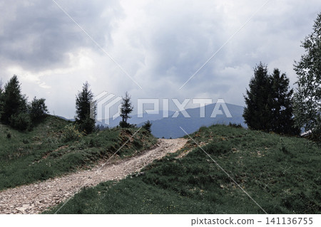 Gravel path leading through green hills and trees towards mountains Gravel path leading through green hills and trees towards mountains 141136755