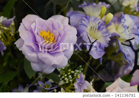 purple roses flower and yellow pollen and green leaves flowers bouquet, white wall background, nature, fashion, love, decor, valentine, wedding, old, copy space purple roses flower and yellow pollen and green leaves flowers bouquet, white wall background, nature, fashion, love, decor, valentine, wedding, old, copy space 141136781
