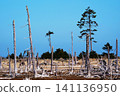 Landscape of Shunkokudai, Nemuro City, Hokkaido 141136950