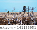 Landscape of Shunkokudai, Nemuro City, Hokkaido 141136951