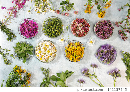 Collection of useful herbs for treatment according to folk recipes,Medicinal herbs and their flower petals in glass cups for infusions or tea, concept of alternative folk medicine, Collection of useful herbs for treatment according to folk recipes,Medicinal herbs and their flower petals in glass cups for infusions or tea, concept of alternative folk medicine, 141137345