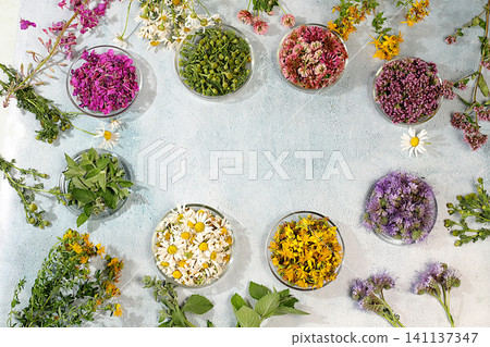 Collection of useful herbs for treatment according to folk recipes,Medicinal herbs and their flower petals in glass cups for infusions or tea, concept of alternative folk medicine, Collection of useful herbs for treatment according to folk recipes,Medicinal herbs and their flower petals in glass cups for infusions or tea, concept of alternative folk medicine, 141137347