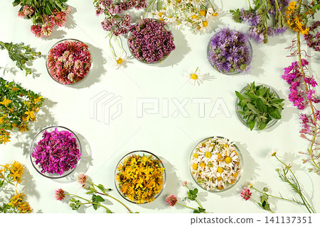 Medicinal herbs and their flower petals in glass cups for infusions or tea, concept of alternative folk medicine, advertisement of a green pharmacy, collection of useful herbs for treatment according Medicinal herbs and their flower petals in glass cups for infusions or tea, concept of alternative folk medicine, advertisement of a green pharmacy, collection of useful herbs for treatment according 141137351