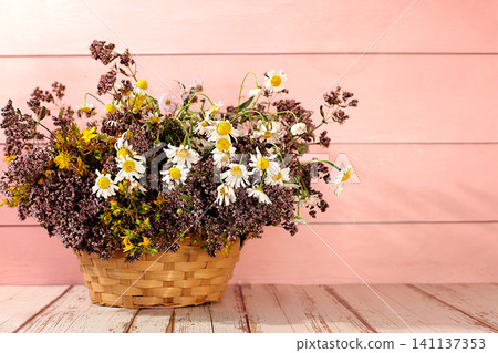 Still life with wild medicinal herbs on a wooden table in a basket, a bouquet of St. John's wort, oregano, mint, chamomile, a collection of useful herbs for treatment according to folk recipes Still life with wild medicinal herbs on a wooden table in a basket, a bouquet of St. John's wort, oregano, mint, chamomile, a collection of useful herbs for treatment according to folk recipes 141137353