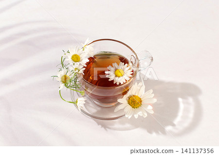 Chamomile iced tea in a transparent cup with natural small chamomile flowers on a light table, concept of herbal tea and proper natural nutrition, summer card and outdoor recreation, Chamomile iced tea in a transparent cup with natural small chamomile flowers on a light table, concept of herbal tea and proper natural nutrition, summer card and outdoor recreation, 141137356