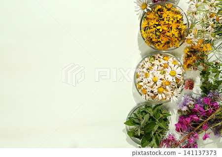 Medicinal herbs such as chamomile, mint, and St. John's wort, their flower petals in glass cups for infusions or tea, a collection of useful herbs for treatment according to folk recipes, Medicinal herbs such as chamomile, mint, and St. John's wort, their flower petals in glass cups for infusions or tea, a collection of useful herbs for treatment according to folk recipes, 141137373