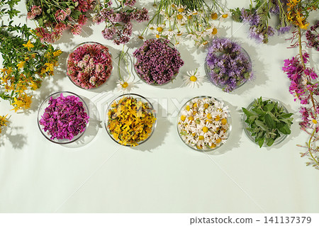 Medicinal herbs and their flower petals in glass cups for infusions or tea, concept of alternative folk medicine, advertisement of a green pharmacy, collection of useful herbs for treatment Medicinal herbs and their flower petals in glass cups for infusions or tea, concept of alternative folk medicine, advertisement of a green pharmacy, collection of useful herbs for treatment 141137379