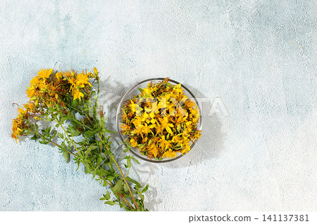 Flowers and dried St. John's wort buds on a concrete table, medicinal herbs, the concept of alternative folk medicine, an advertisement for a green pharmacy, a collection of useful herbs Flowers and dried St. John's wort buds on a concrete table, medicinal herbs, the concept of alternative folk medicine, an advertisement for a green pharmacy, a collection of useful herbs 141137381