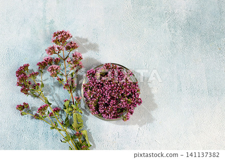 Flowers and dried oregano buds on a concrete table, medicinal herbs, the concept of alternative folk medicine, an advertisement for a green pharmacy, a collection of useful herbs Flowers and dried oregano buds on a concrete table, medicinal herbs, the concept of alternative folk medicine, an advertisement for a green pharmacy, a collection of useful herbs 141137382