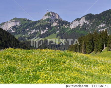 Breathtaking Hoher Kasten and Its Vibrant Wildflower Meadows in Summer Breathtaking Hoher Kasten and Its Vibrant Wildflower Meadows in Summer 141138142