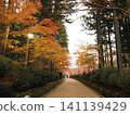 Tunnel of autumn leaves 141139429
