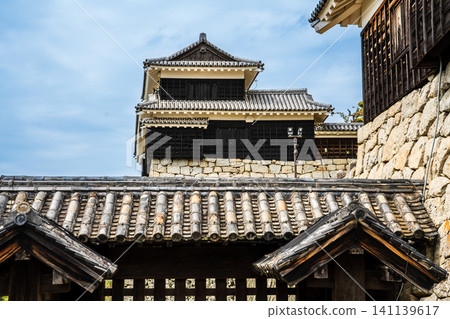松山城[愛媛郡松山市] 141139617
