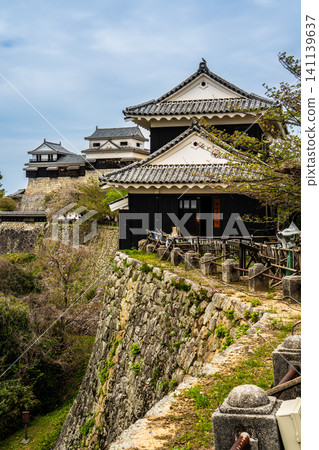 Matsuyama Castle [Matsuyama City, Ehime Prefecture] 141139637