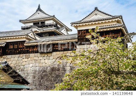 Matsuyama Castle [Matsuyama City, Ehime Prefecture] 141139648