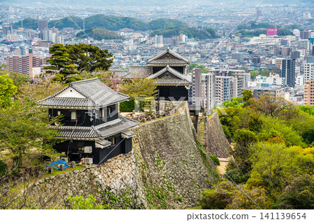 松山城[愛媛郡松山市] 141139654