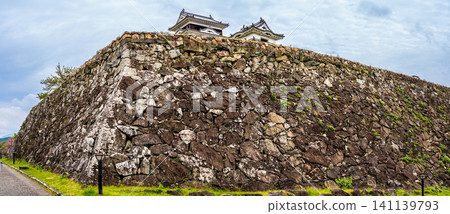 小津城全景 [愛媛縣小津市] 141139793