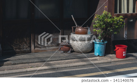 Pottery and potted plants lined up in front of the entrance of an old house 141140076