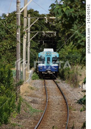 Scenery of the Choshi Electric Railway: Green Tunnel (between Inubo Station and Kimigahama Station) Choshi Electric Railway 3000 series Scenery of the Choshi Electric Railway: Green Tunnel (between Inubo Station and Kimigahama Station) Choshi Electric Railway 3000 series 141140341