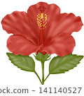 red hibiscus flower 141140527