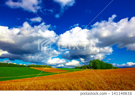 Rural landscape Rural landscape 141140638