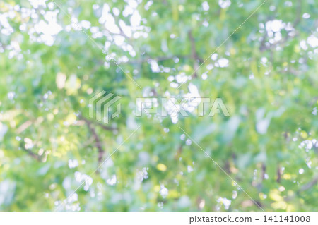 夏季抽象綠色背景 夏季抽象綠色背景 141141008